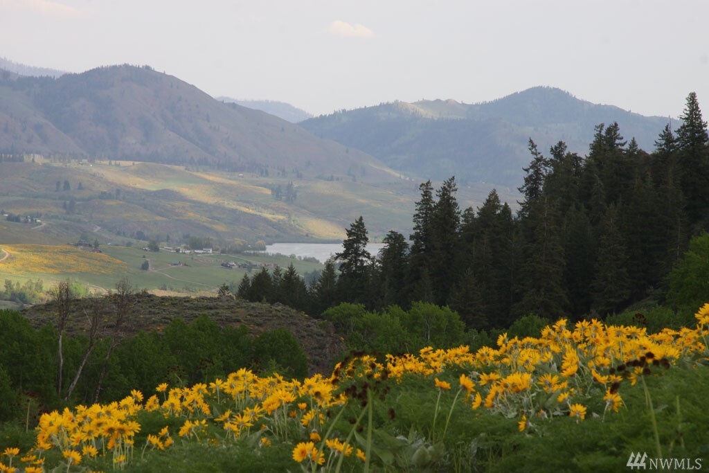 Property Photo: 260 Rendezvous Rd WA 98862