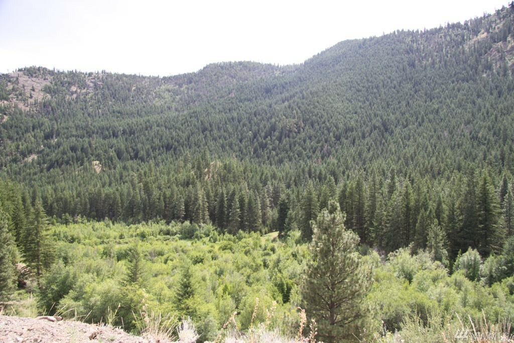 Property Photo:  0 Alder Creek Rd  WA 98856 