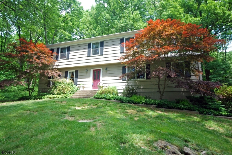 Property Photo:  198 Stanton Mountain Rd  NJ 08833 