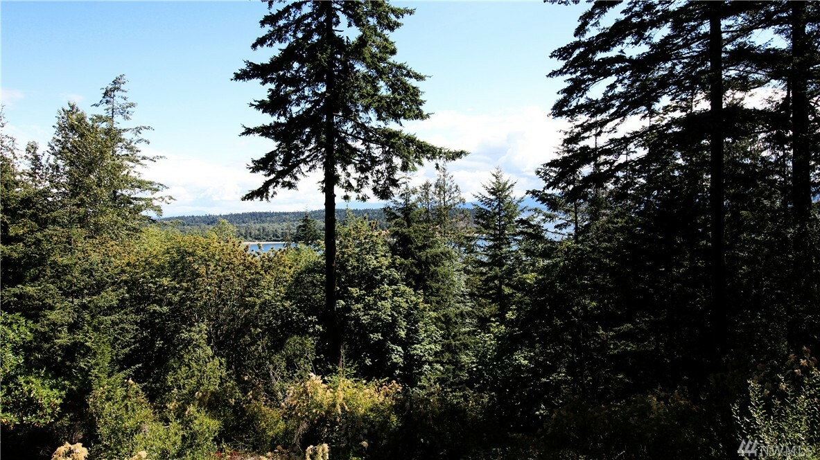 Property Photo:  1188 Island Dr  WA 98262 