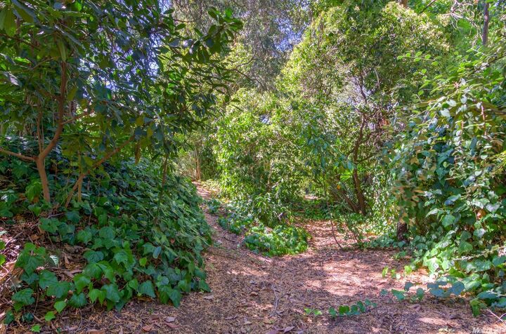 3212 Tobari Court  Sacramento CA 95821 photo