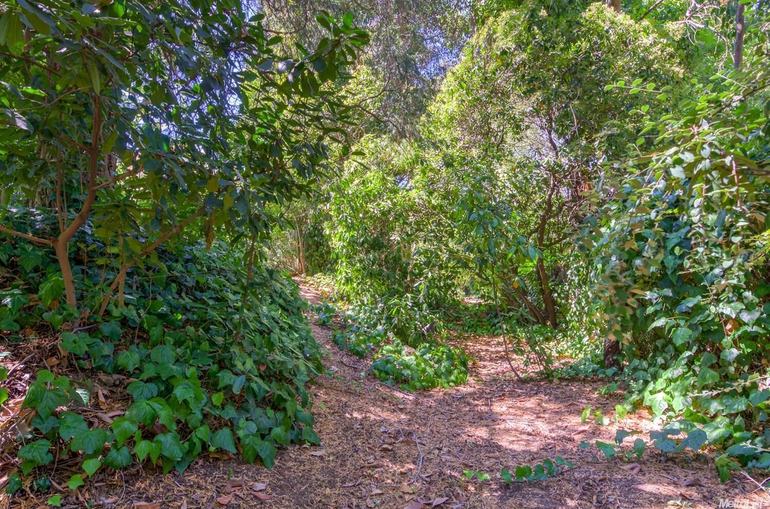 Property Photo: 3212 Tobari Court CA 95821