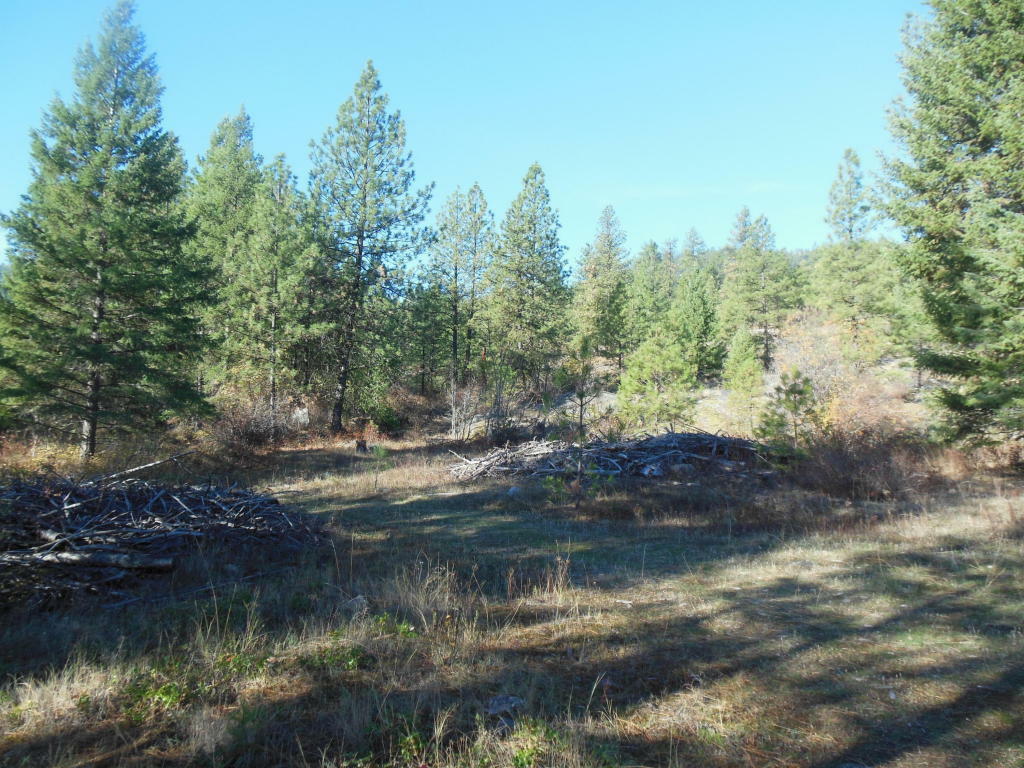 Property Photo:  000 Nancy Creek Rd W  WA 99141 