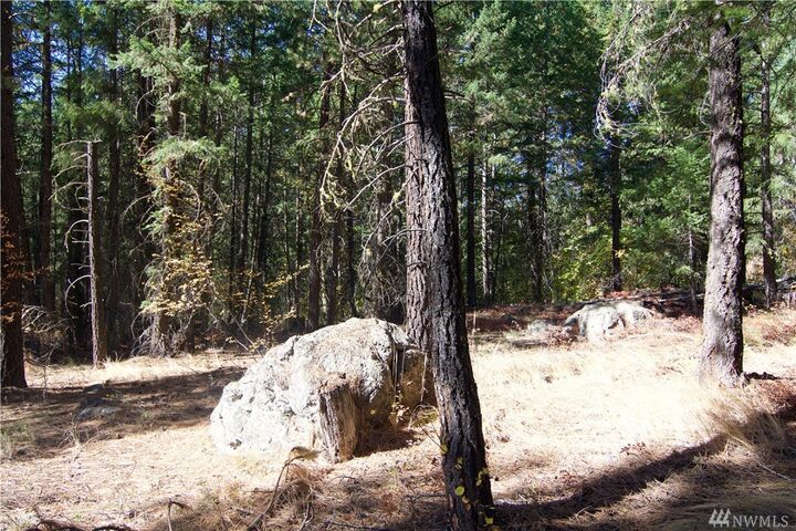Property Photo:  3 X Highland Rd  WA 98862 