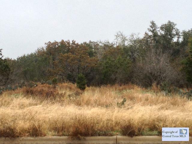 Property Photo: 0 Great Oaks Drive TX 78666