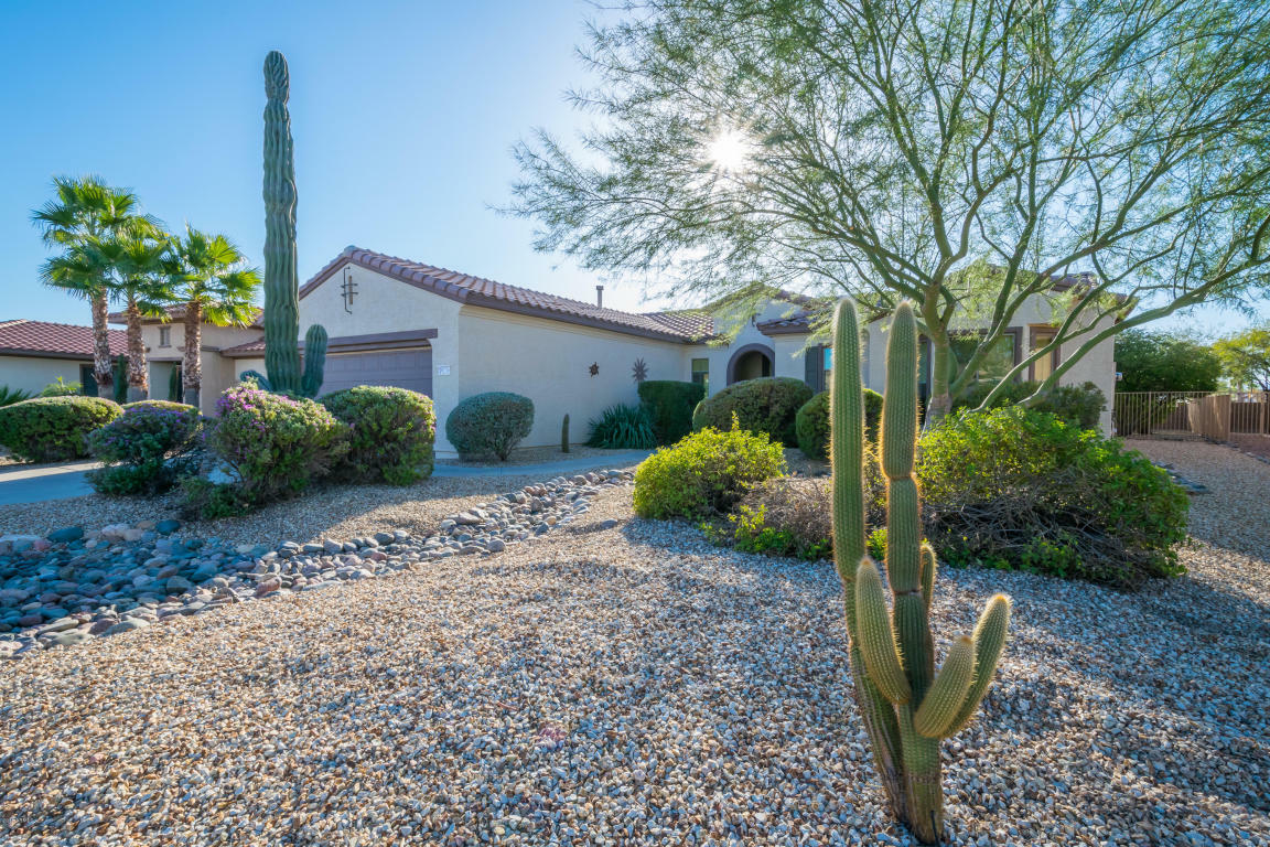 Property Photo:  19236 N Tallowood Way  AZ 85387 