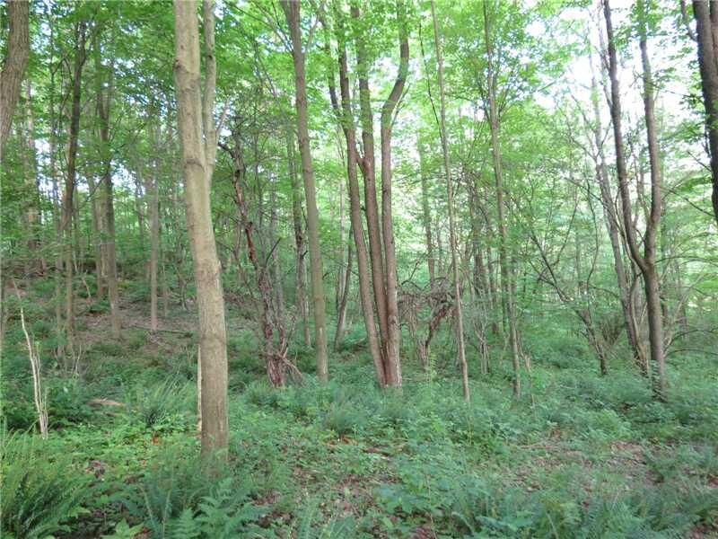 Property Photo:  Hill& Lake Creek Road  PA 16314 