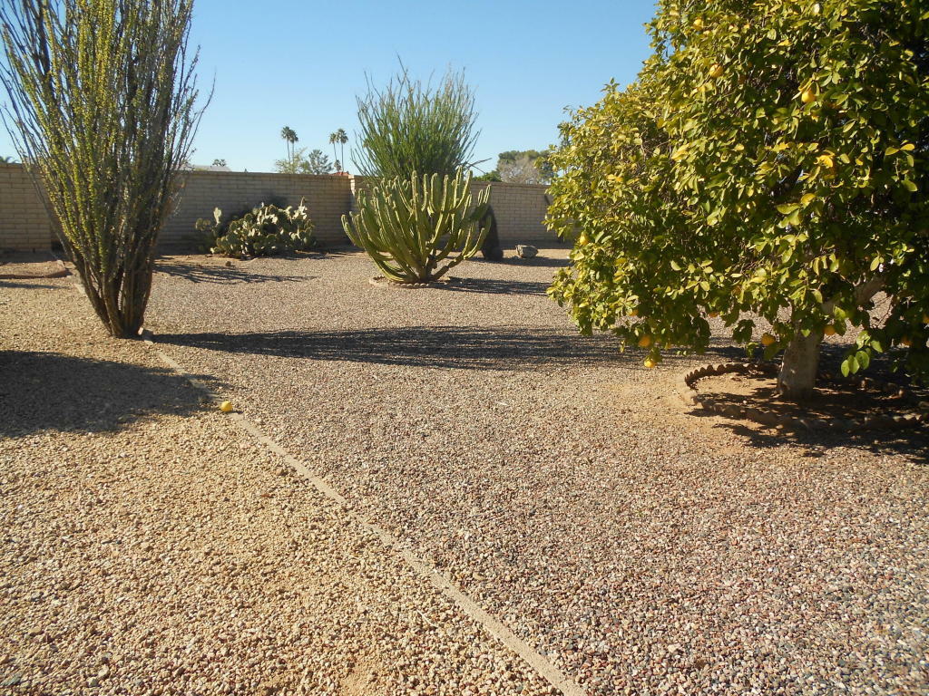 Property Photo:  16210 N Lakeforest Drive  AZ 85351 