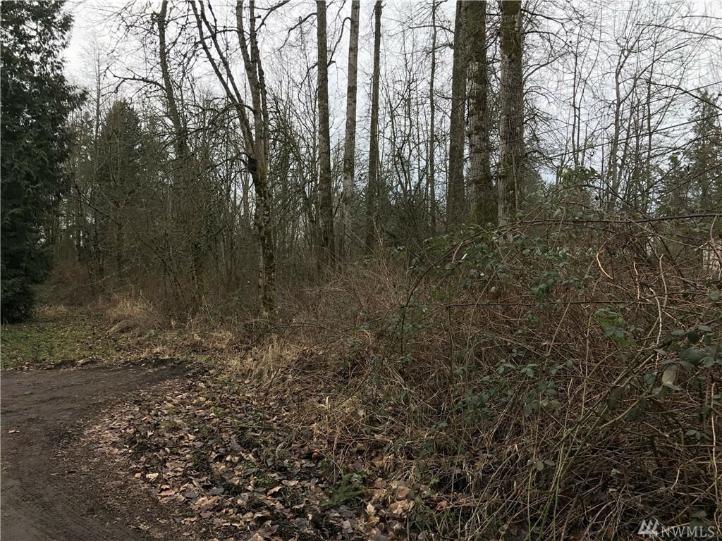 52 53rd Ave S  Auburn WA 98001 photo