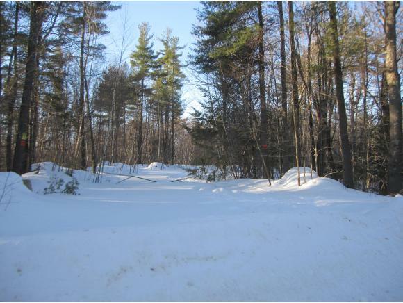 Property Photo: Lot 13 Purgatory Falls Road NH 03082