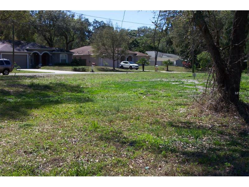 Property Photo:  Pineland Drive  FL 33755 