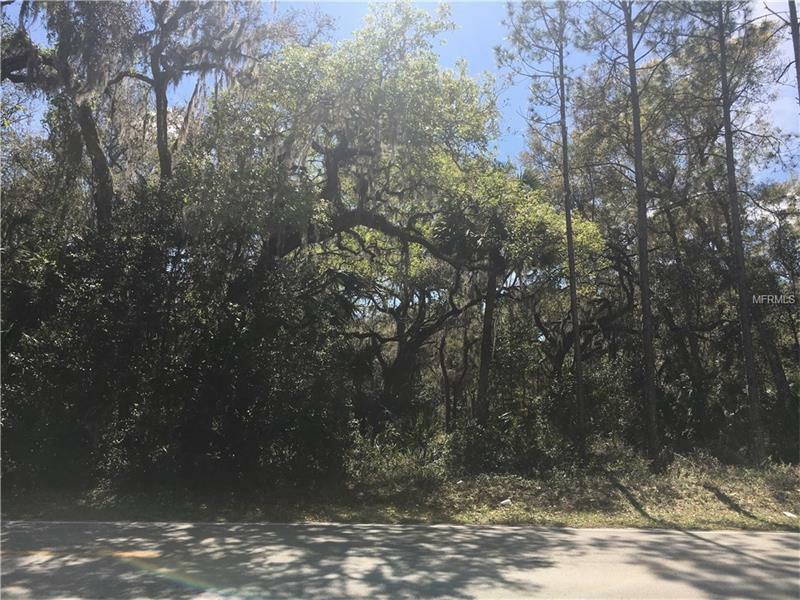 Property Photo:  Lake Harney Road  FL 32732 