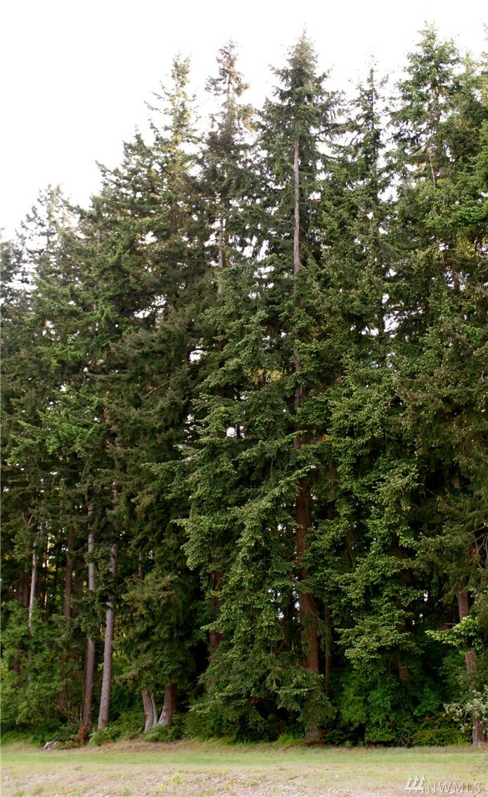 Property Photo:  Xxx Heggenes Rd  WA 98236 