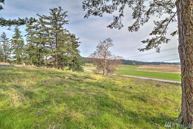 Property Photo:  Xxxx Roche Harbor Rd  WA 98250 