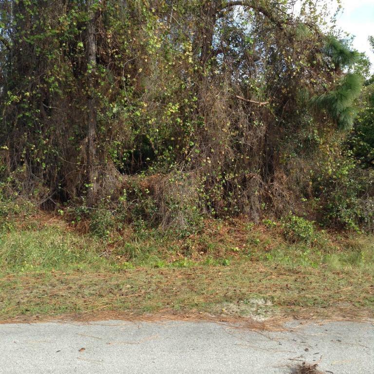 Property Photo:  599 Alesio Avenue SE  FL 32909 