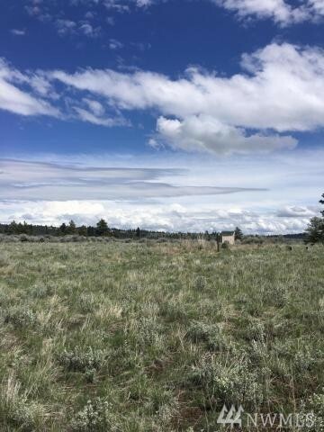 Property Photo:  100 Sagebrush Rd  WA 98802 