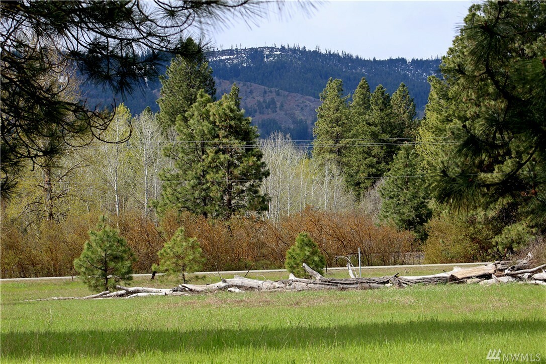 Property Photo:  Lot A2 Wa-970  WA 98922 