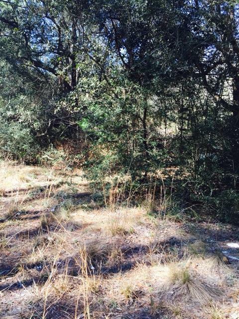 Property Photo: Lot 8 County Road 3280 FL 32439