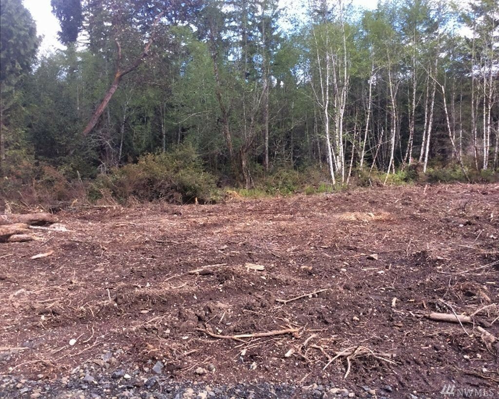 Property Photo: 2613 E Harstine Island Rd N WA 98584