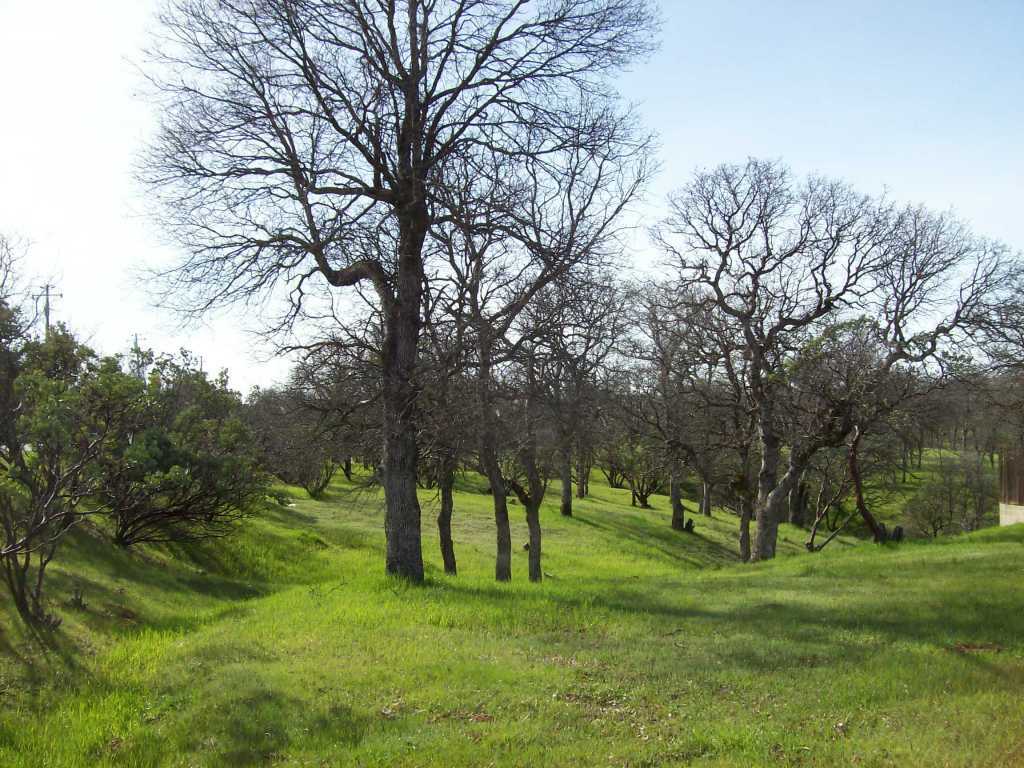 Property Photo:  22301 Redrock Peak Pl  CA 96022 