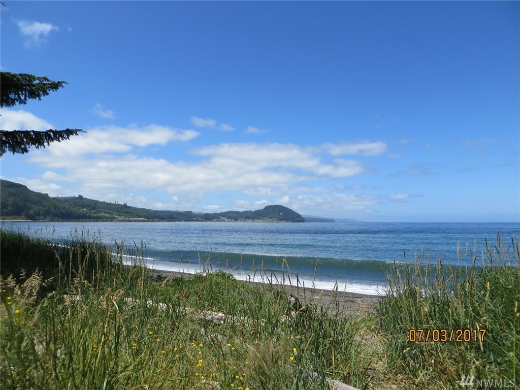 Property Photo: 163 Salt Air St WA 98326