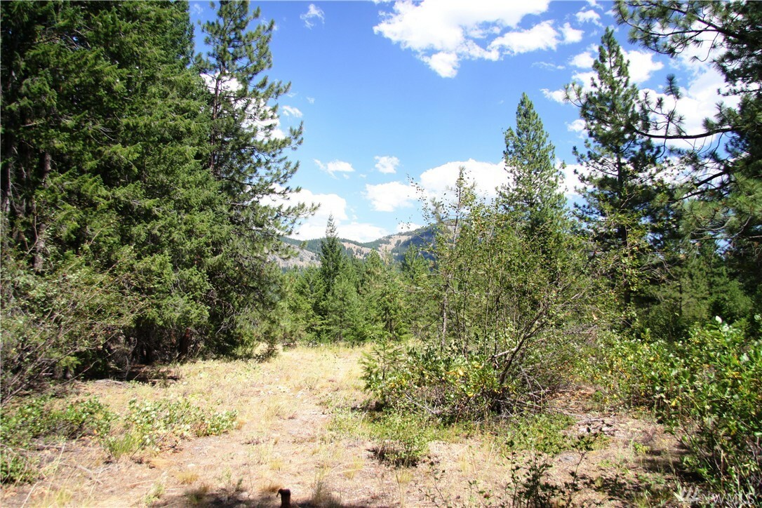 Property Photo:  23 Evergreen Wy  WA 98833 