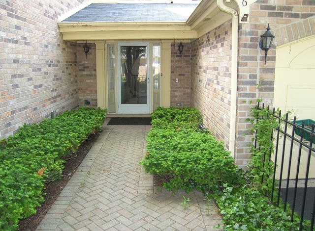 Property Photo:  6 The Court Of Bayview  IL 60062 