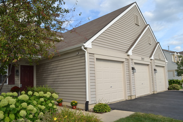Property Photo: 2819 Rutland Circle 202 IL 60564