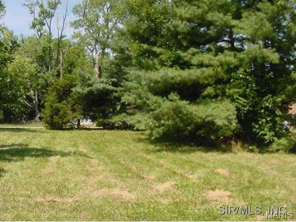 Property Photo:  302 N State Street  IL 62086 