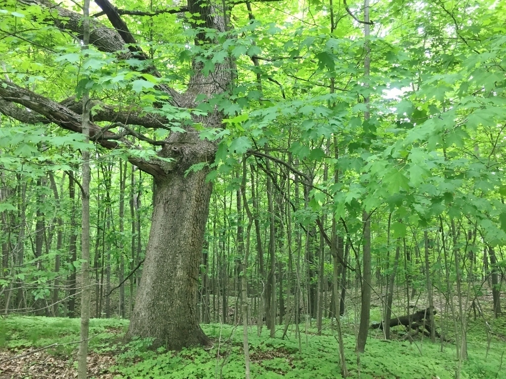 Property Photo:  0 County Road K  WI 53027 