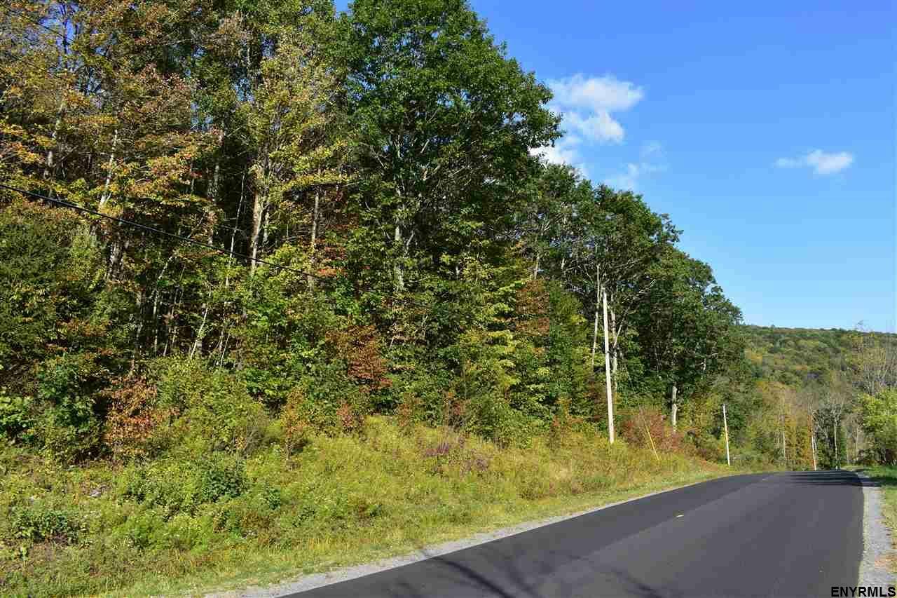 Property Photo:  0 Sawyer Hollow Road  NY 12194 