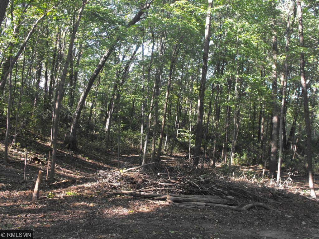 Property Photo: 0 Wood Court WI 54001