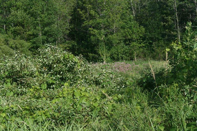 Property Photo:  1886 County Road I  WI 53024 