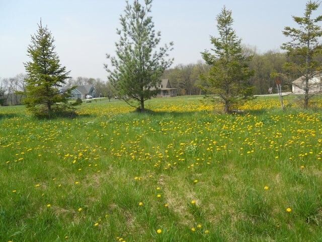 Property Photo: Lt1 River Rd WI 53094