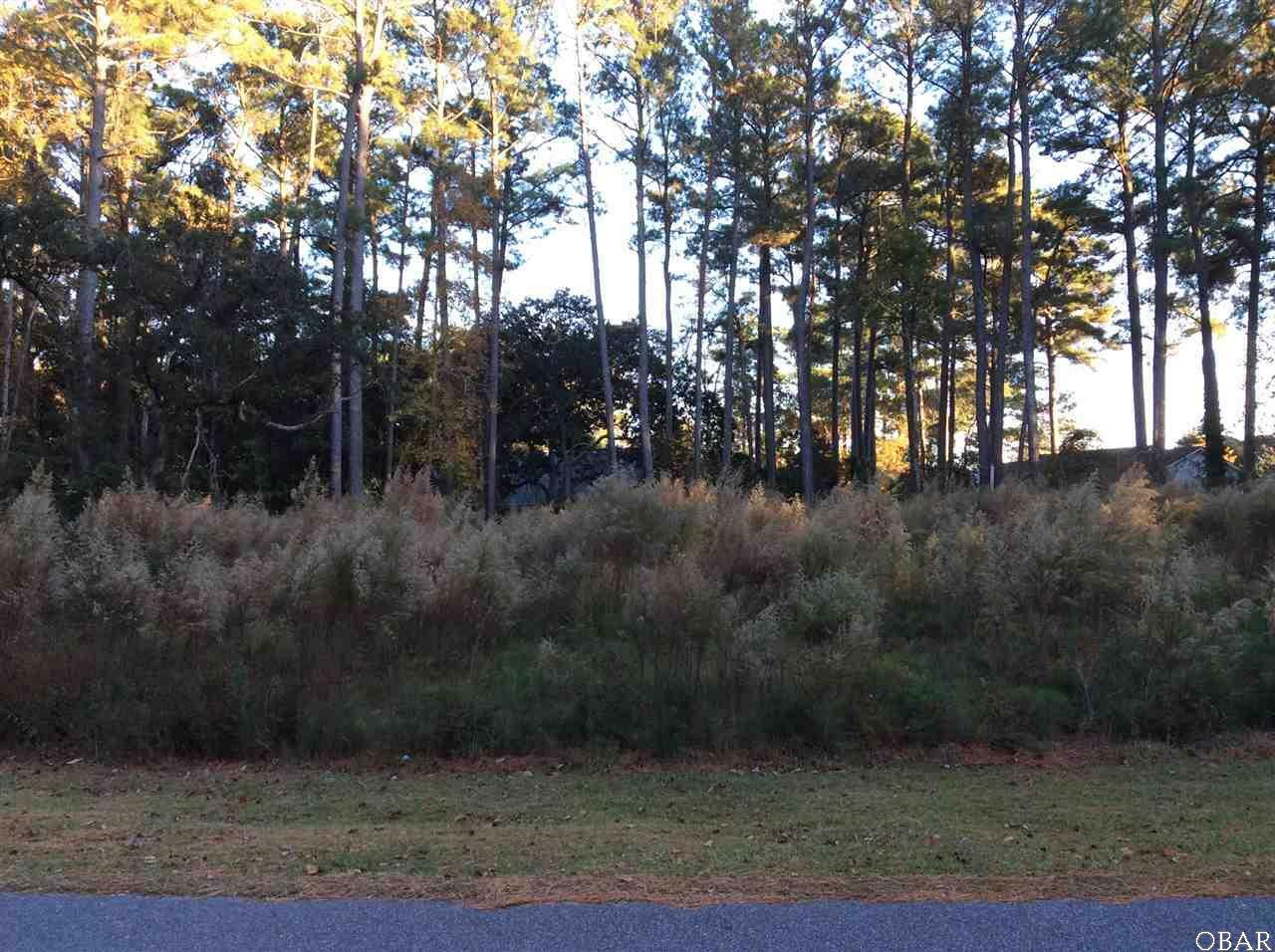 208 Greens Drive Lot# 34  Manteo NC 27954 photo