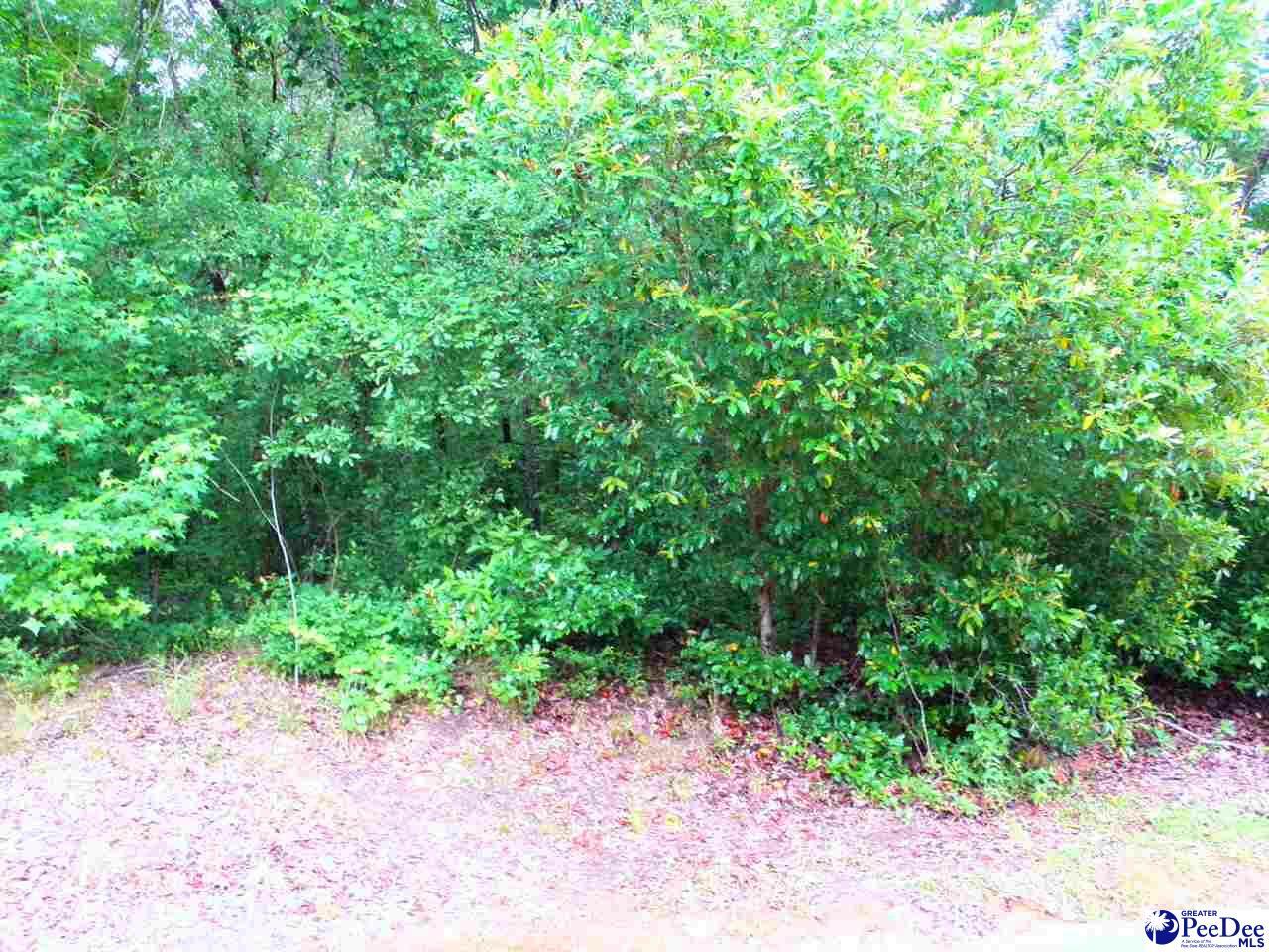Property Photo:  Lot #8 Gee Valley Dr.  SC 29161 
