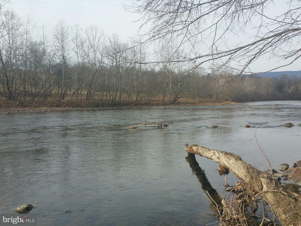 Property Photo:  Grove Hill River Road  VA 22851 