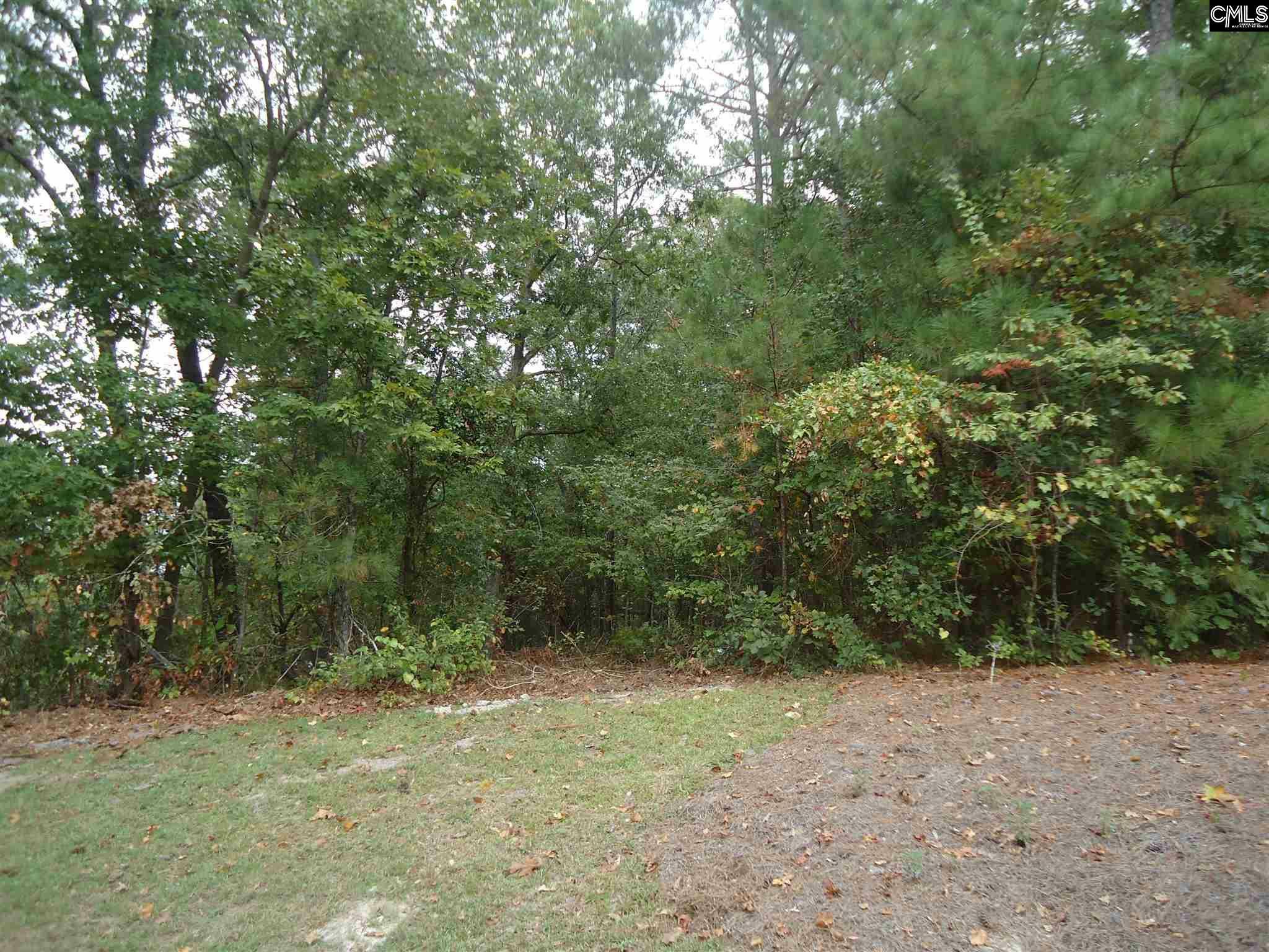 Property Photo:  124 Ashley Ridge  SC 29016 