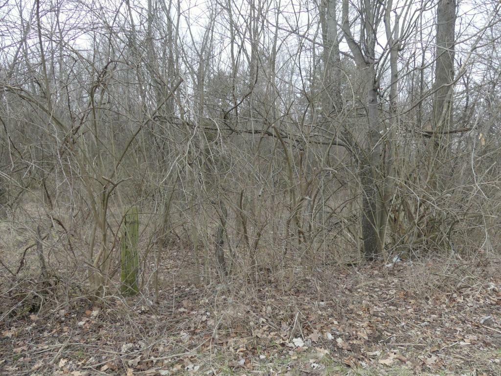Property Photo: 0 Delaware Street OH 43338