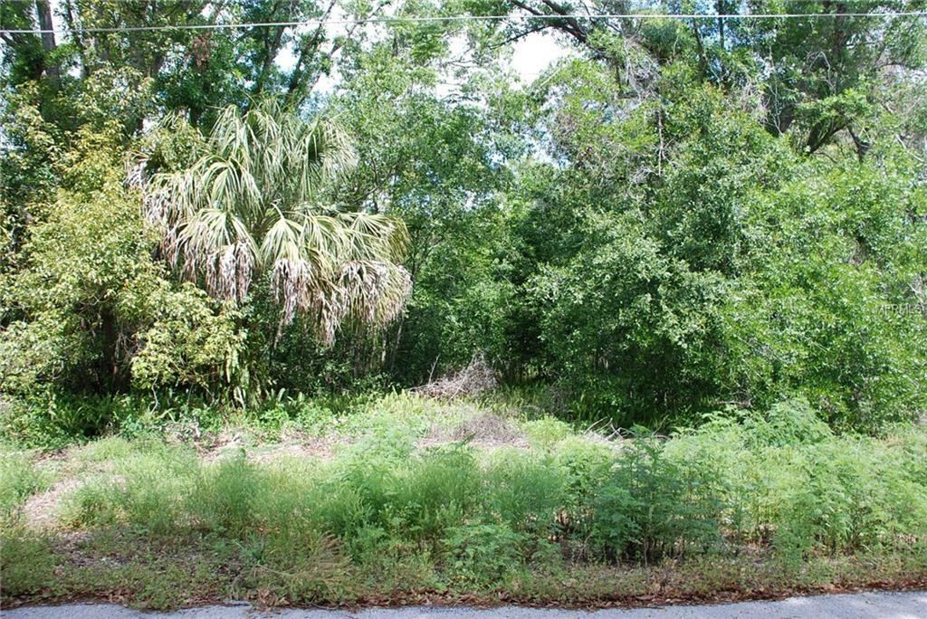 Property Photo: Glen Ethel Lane FL 32779