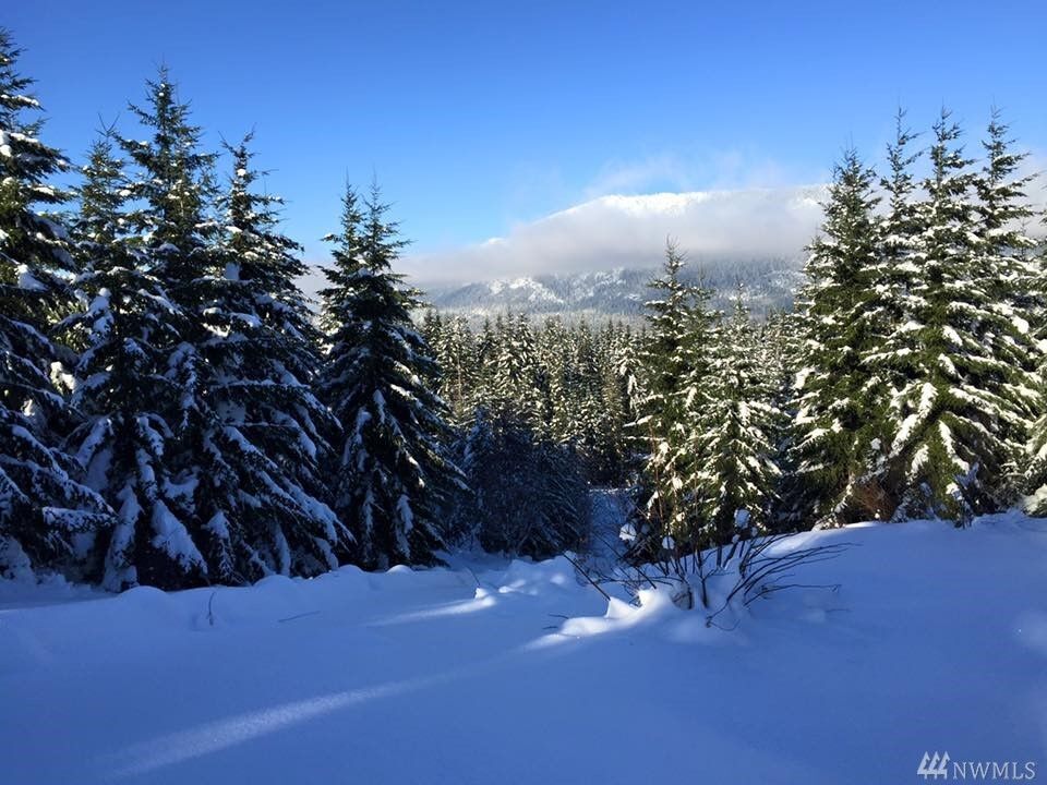 Property Photo:  31  Rocky Top Lane  WA 98922 