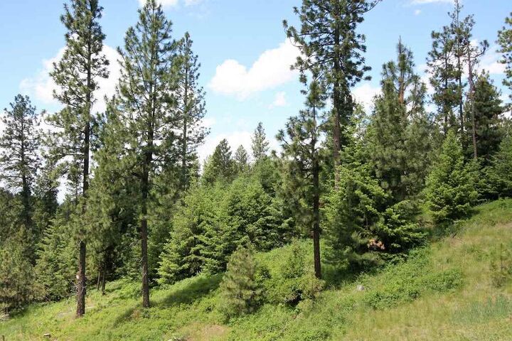 5300 S Girard Ln  Spokane WA 99223 photo