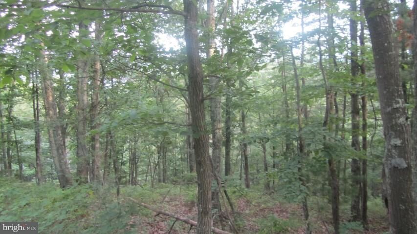 Property Photo:  51 David'S Road  WV 26714 