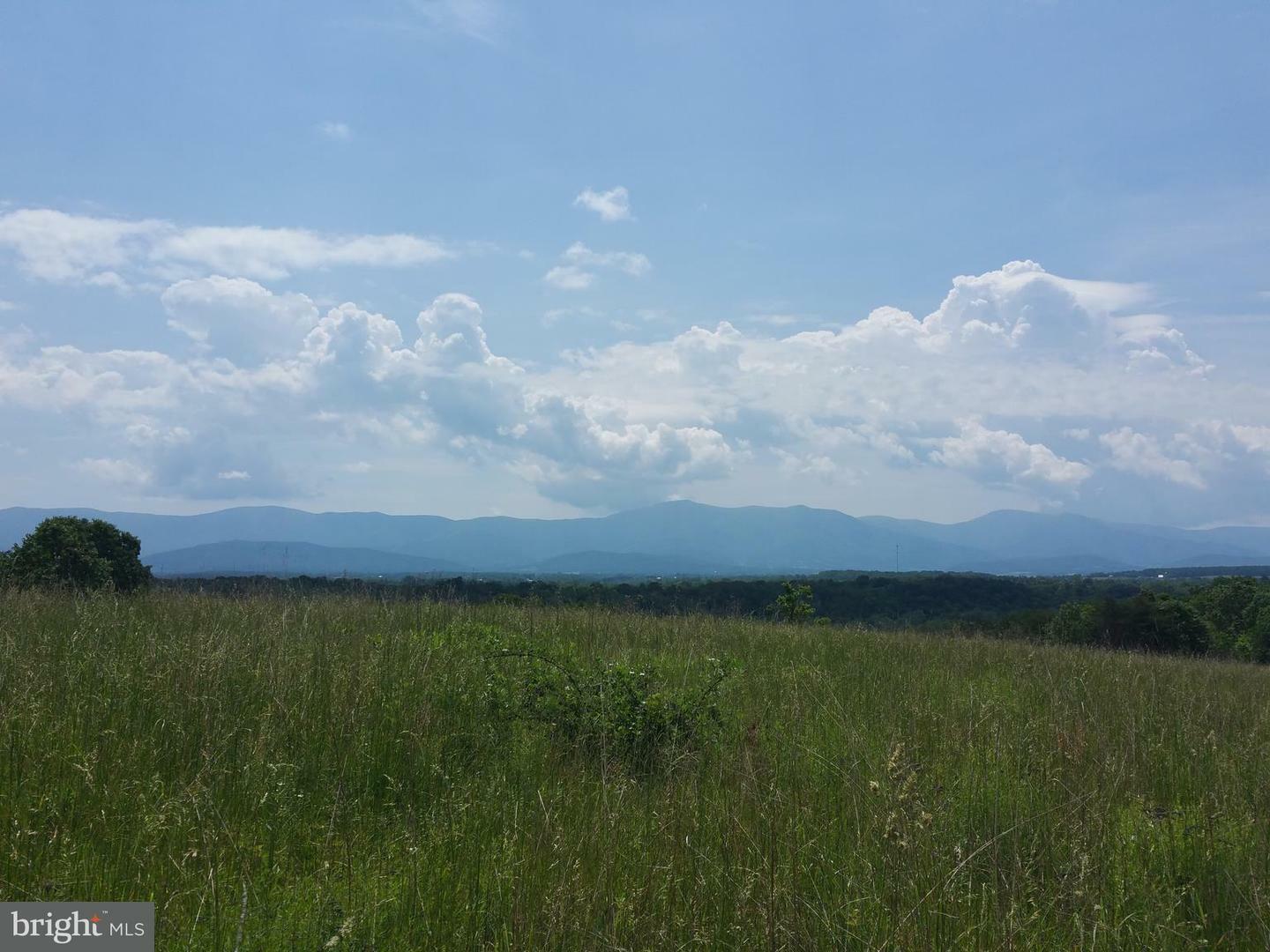 Page Valley Rd  Luray VA 22835 photo