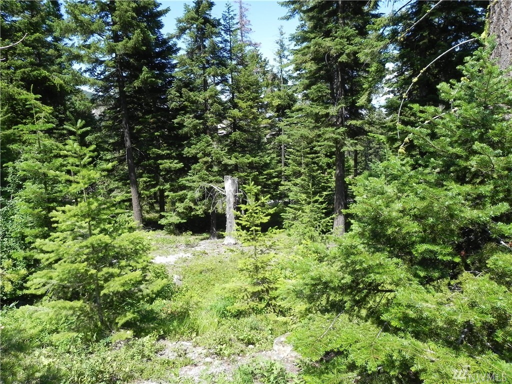 Property Photo: 6776 Forest Ridge Dr WA 98801