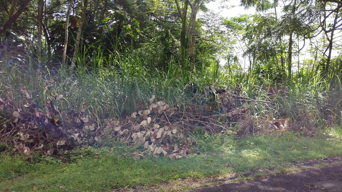 Property Photo:  N Nenue St  HI 96778 
