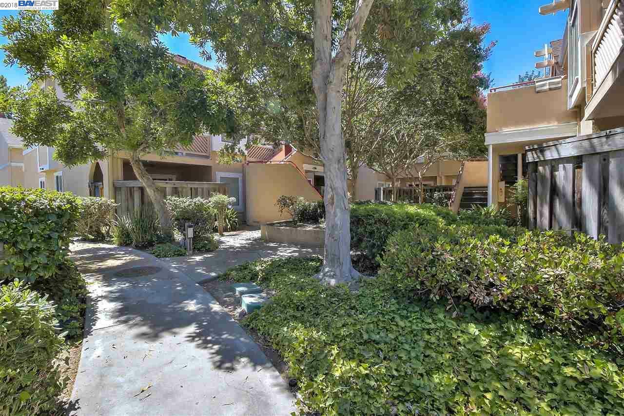 Property Photo:  4628 Devonshire Common  CA 94536 