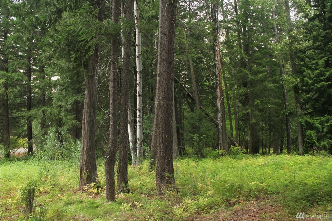 Property Photo:  548 Lost River Rd  WA 98833 