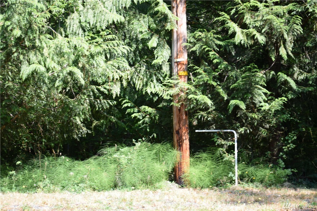 Property Photo:  260 E Willapa Rd  WA 98584 