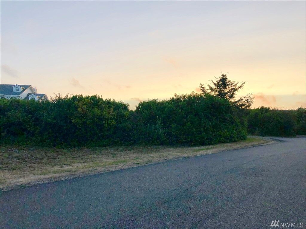 Property Photo:  863 Ocean Shores Blvd NW  WA 98569 